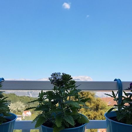 Apartman Lucija Korčula Buitenkant foto