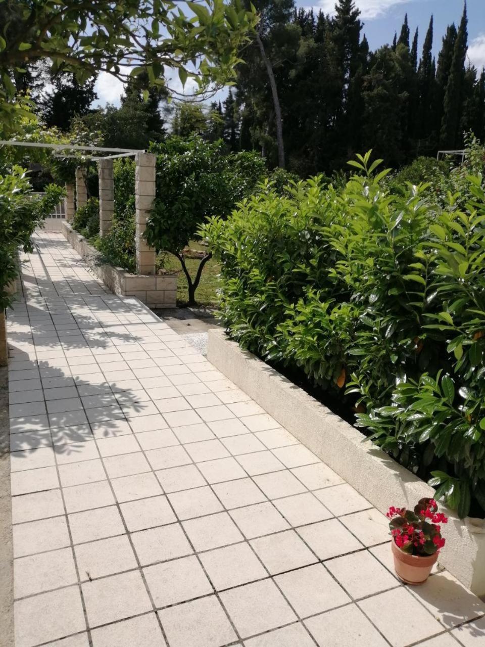 Apartman Lucija Korčula Buitenkant foto