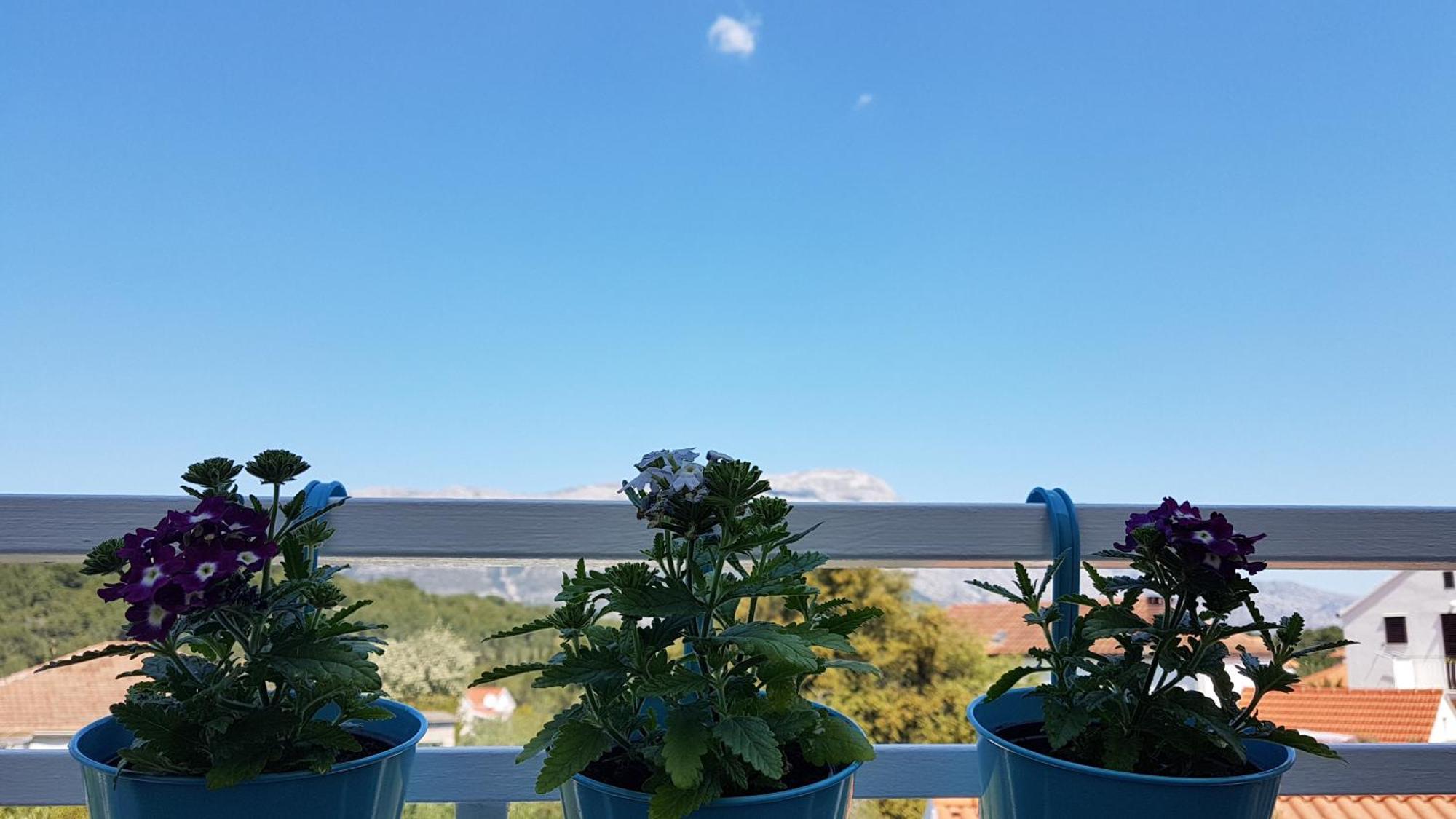 Apartman Lucija Korčula Buitenkant foto