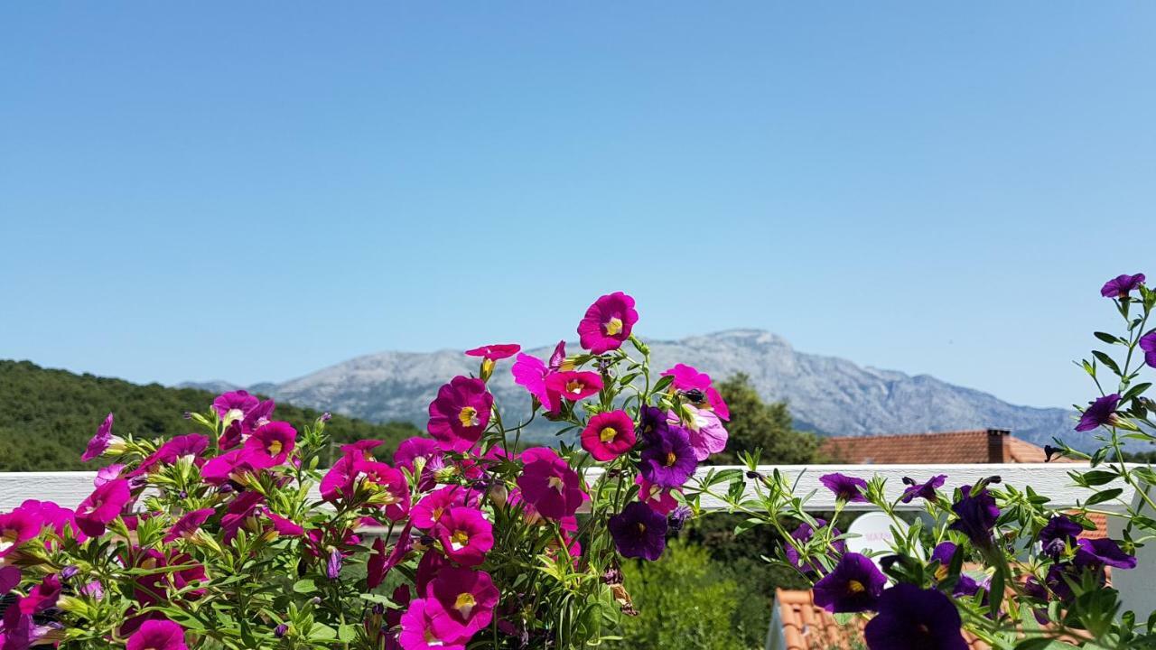 Apartman Lucija Korčula Buitenkant foto