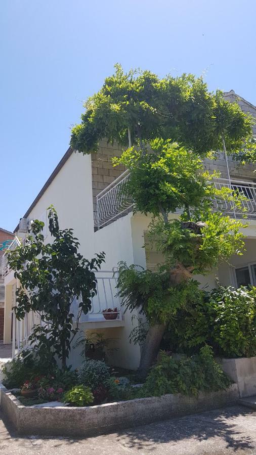 Apartman Lucija Korčula Buitenkant foto