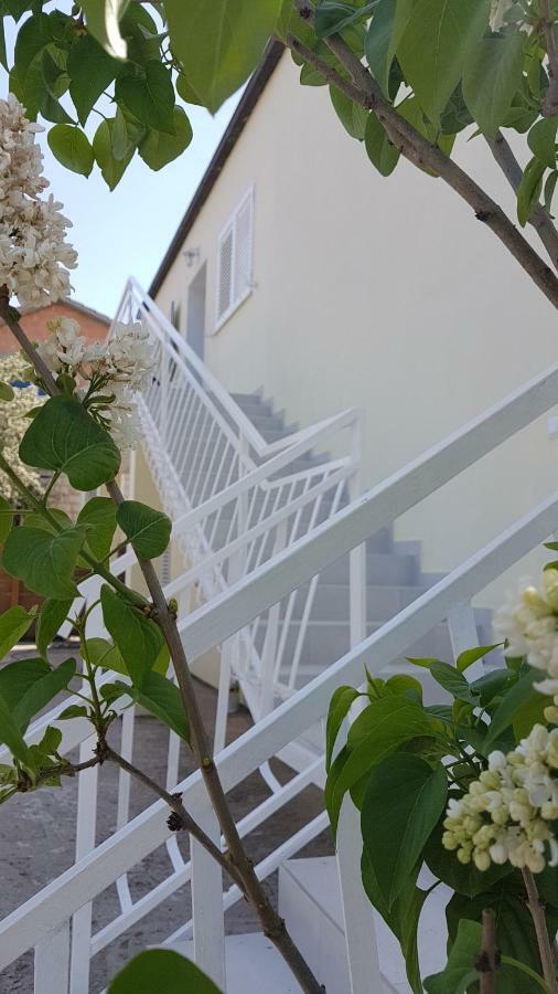 Apartman Lucija Korčula Buitenkant foto
