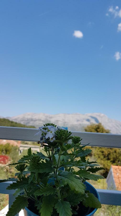 Apartman Lucija Korčula Buitenkant foto