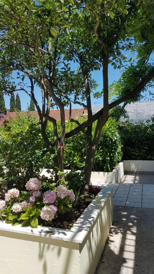 Apartman Lucija Korčula Buitenkant foto